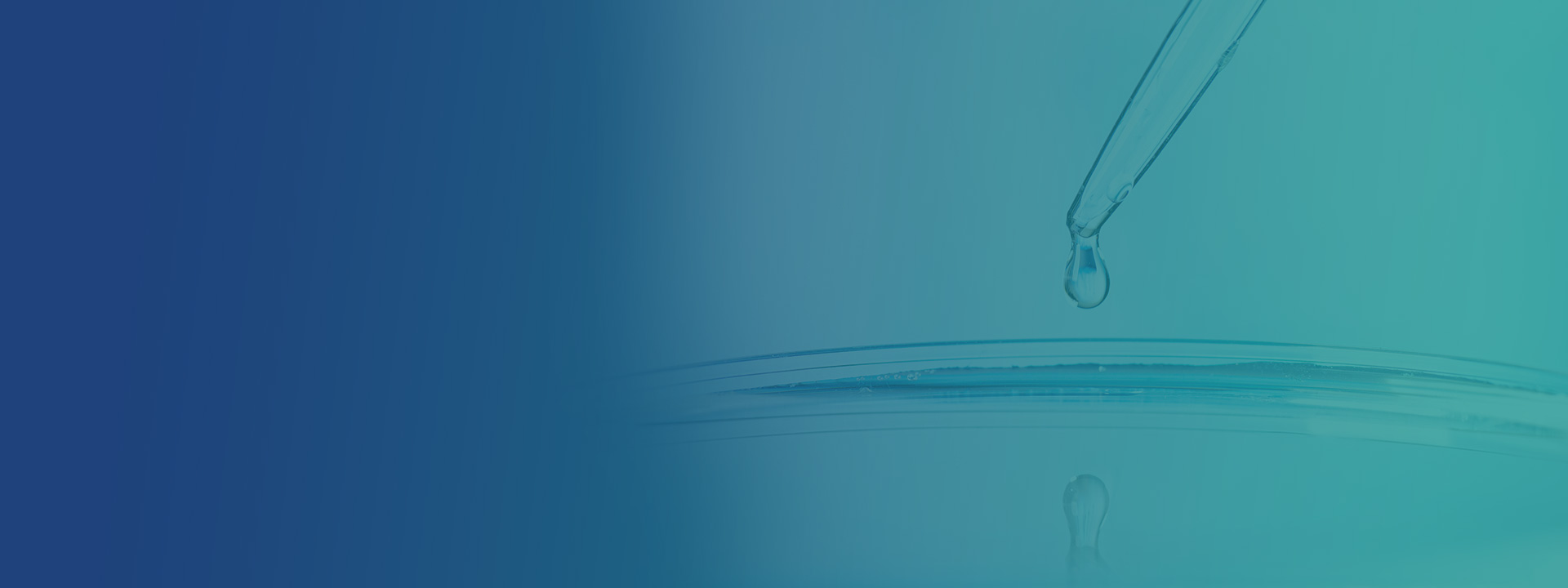 banner01-425.jpg